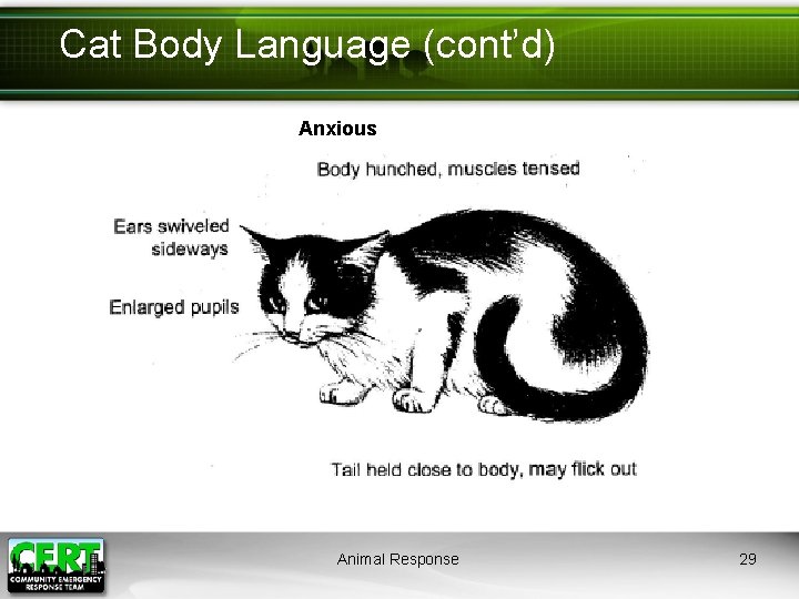 Cat Body Language (cont’d) Anxious Animal Response 29 