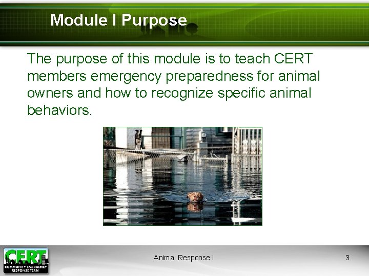 Module I Purpose The purpose of this module is to teach CERT members emergency