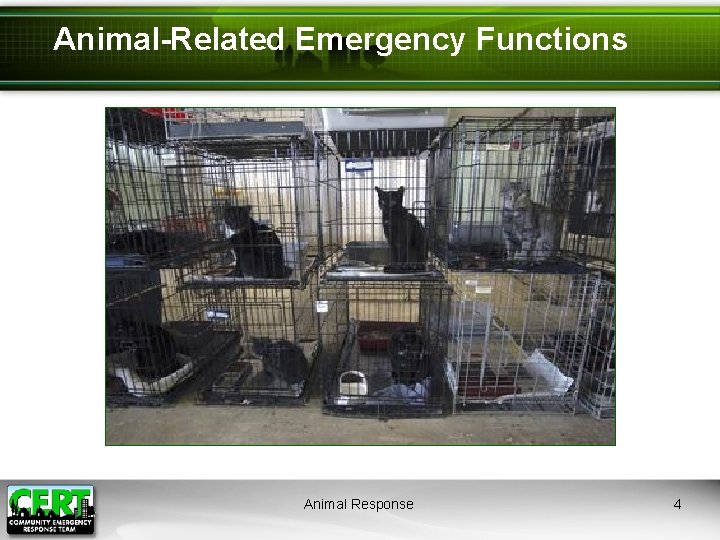 Animal-Related Emergency Functions Animal Response 4 