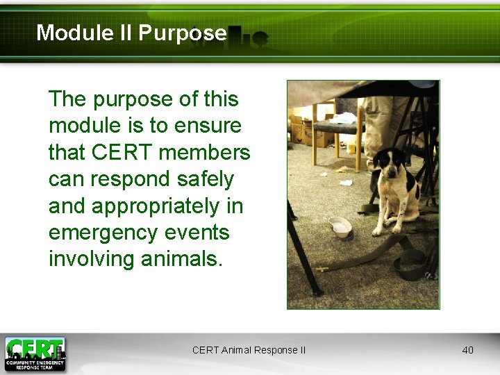 Module II Purpose The purpose of this module is to ensure that CERT members