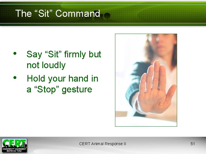The “Sit” Command • Say “Sit” firmly but • not loudly Hold your hand