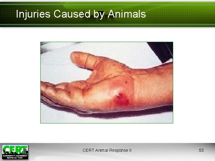 Injuries Caused by Animals CERT Animal Response II 53 