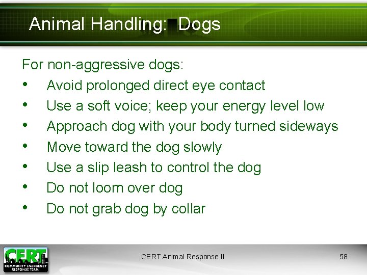 Animal Handling: Dogs For non-aggressive dogs: • Avoid prolonged direct eye contact • Use