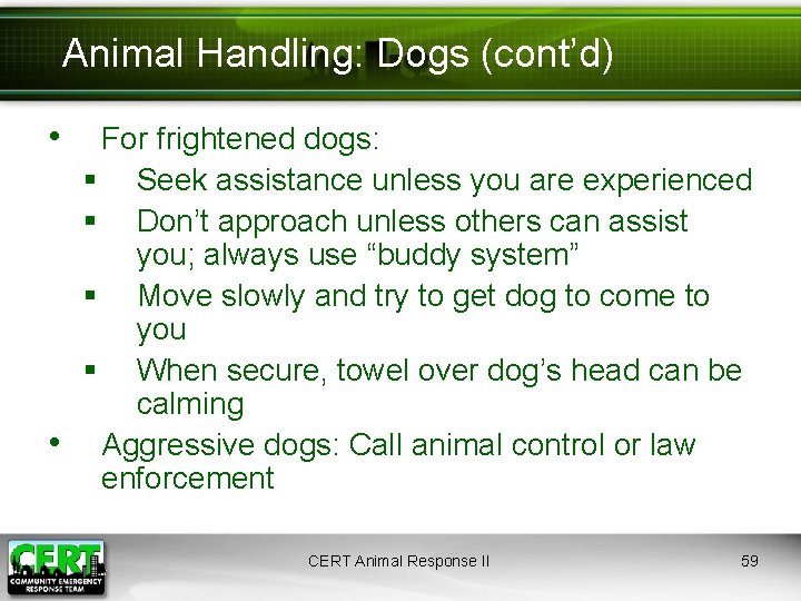 Animal Handling: Dogs (cont’d) • • For frightened dogs: § Seek assistance unless you