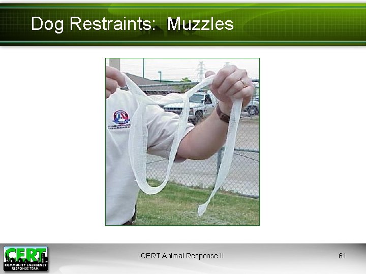 Dog Restraints: Muzzles CERT Animal Response II 61 