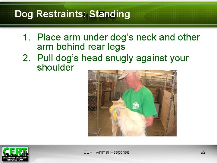 Dog Restraints: Standing 1. Place arm under dog’s neck and other arm behind rear