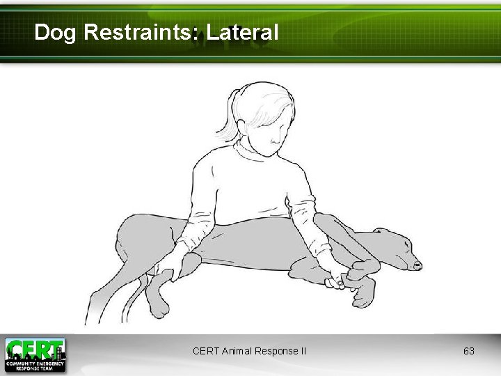 Dog Restraints: Lateral CERT Animal Response II 63 