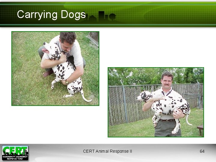 Carrying Dogs CERT Animal Response II 64 