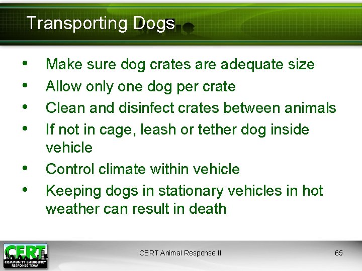 Transporting Dogs • • • Make sure dog crates are adequate size Allow only