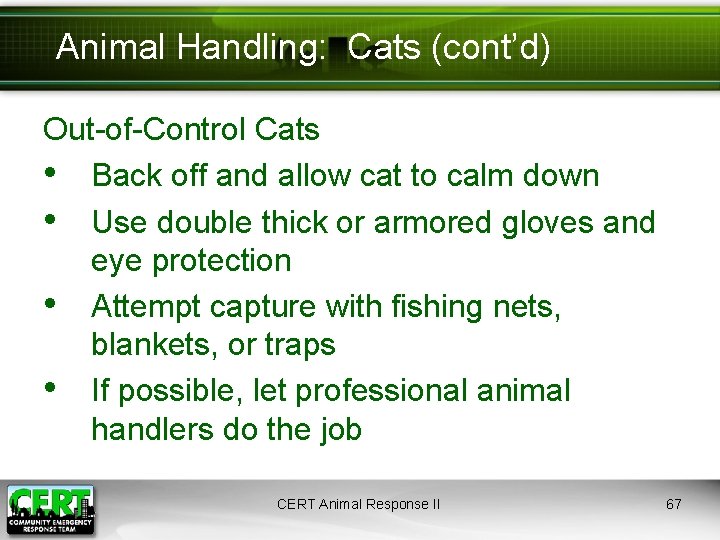 Animal Handling: Cats (cont’d) Out-of-Control Cats • Back off and allow cat to calm