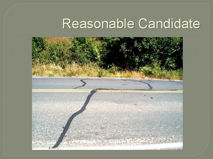 Reasonable Candidate 