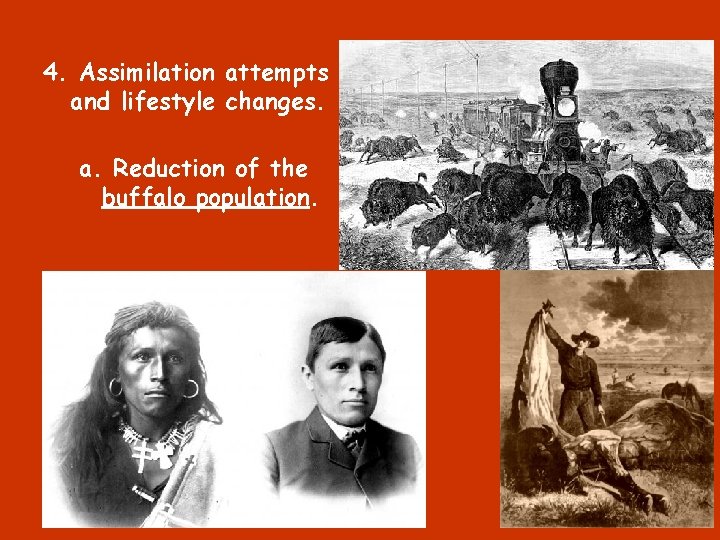 4. Assimilation attempts and lifestyle changes. a. Reduction of the buffalo population. 