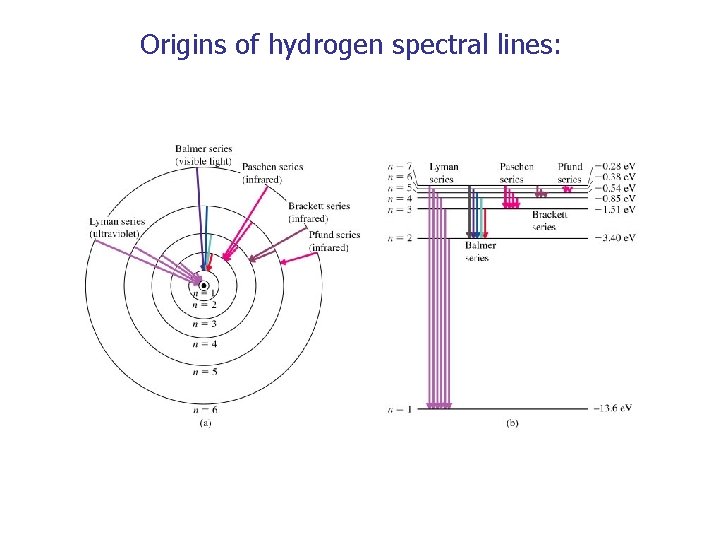 Origins of hydrogen spectral lines: 