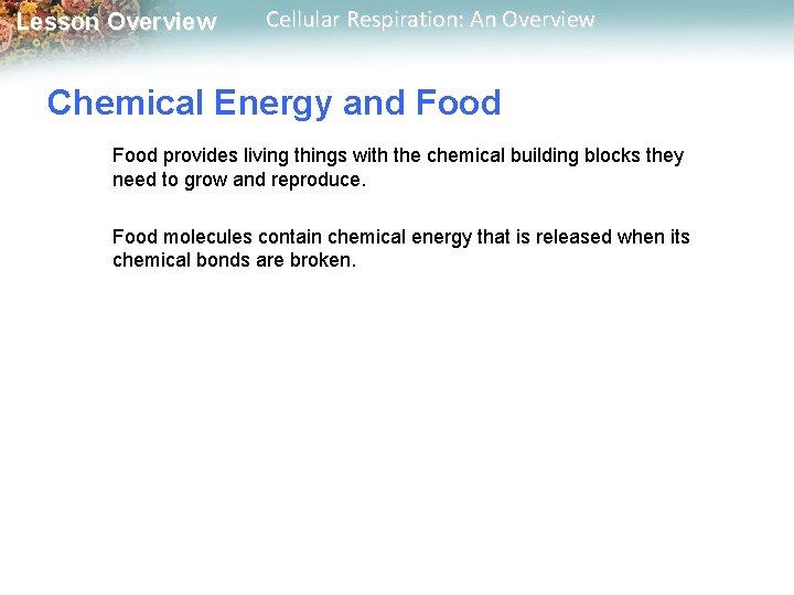 Lesson Overview Cellular Respiration: An Overview Chemical Energy and Food provides living things with