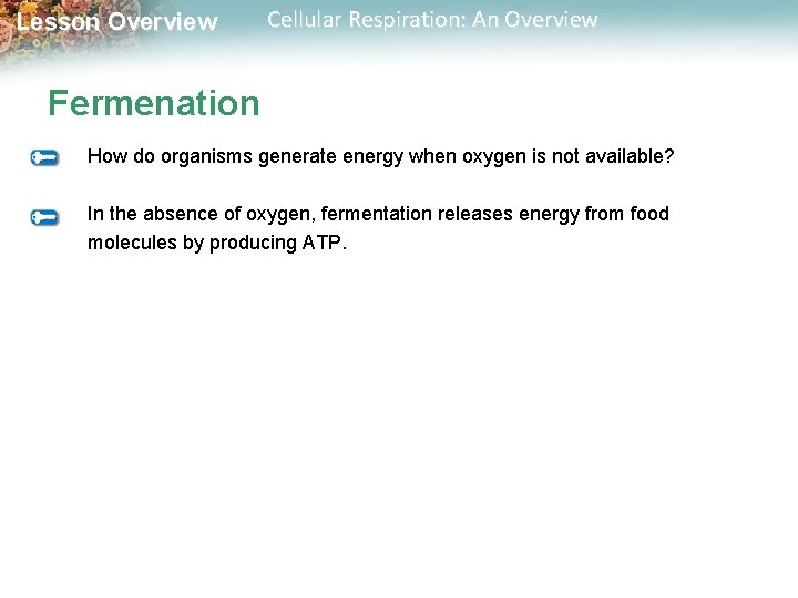 Lesson Overview Cellular Respiration: An Overview Fermenation How do organisms generate energy when oxygen