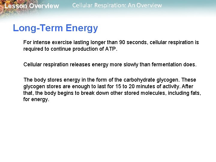 Lesson Overview Cellular Respiration: An Overview Long-Term Energy For intense exercise lasting longer than