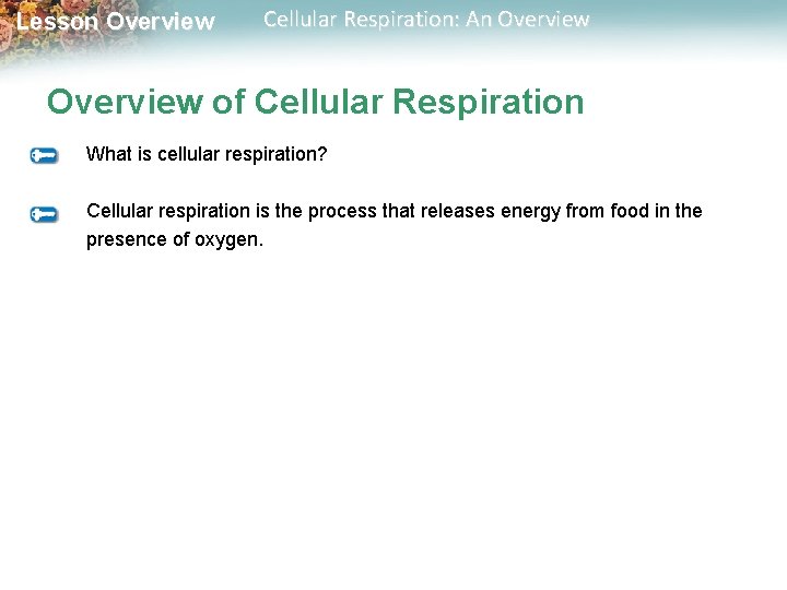 Lesson Overview Cellular Respiration: An Overview of Cellular Respiration What is cellular respiration? Cellular