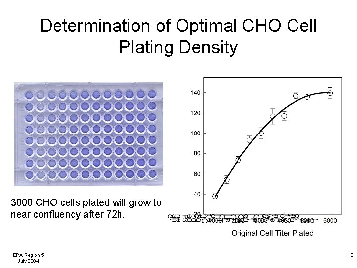 Determination of Optimal CHO Cell Plating Density 3000 CHO cells plated will grow to