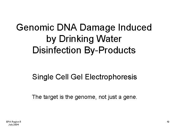 Genomic DNA Damage Induced by Drinking Water Disinfection By-Products Single Cell Gel Electrophoresis The