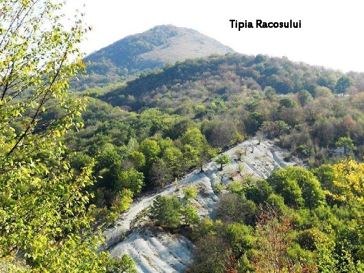 Tipia Racosului La route vers Tipia Racosului 