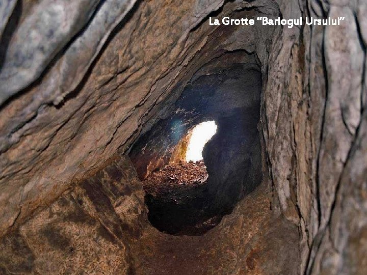 La Grotte “Barlogul Ursului” 