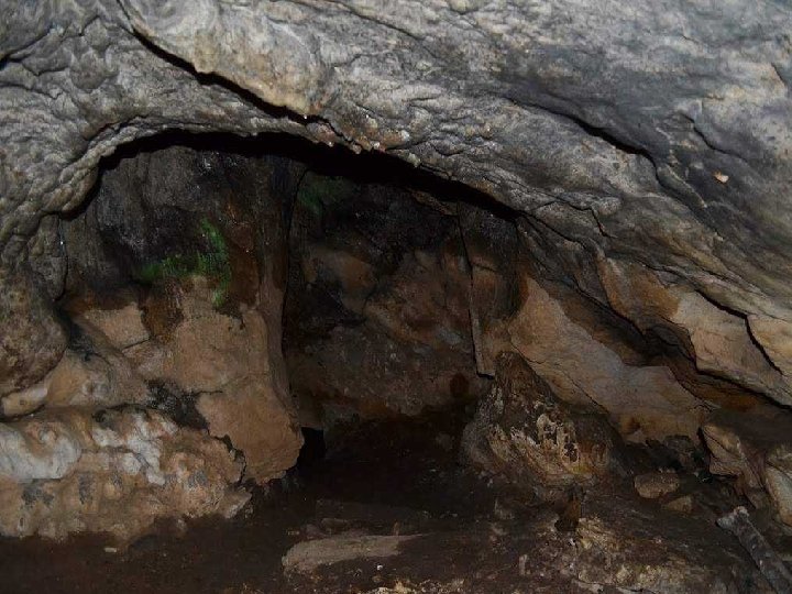 La grotte Barlogul Ursului est considérée comme Monument Naturel et a le statut d'une