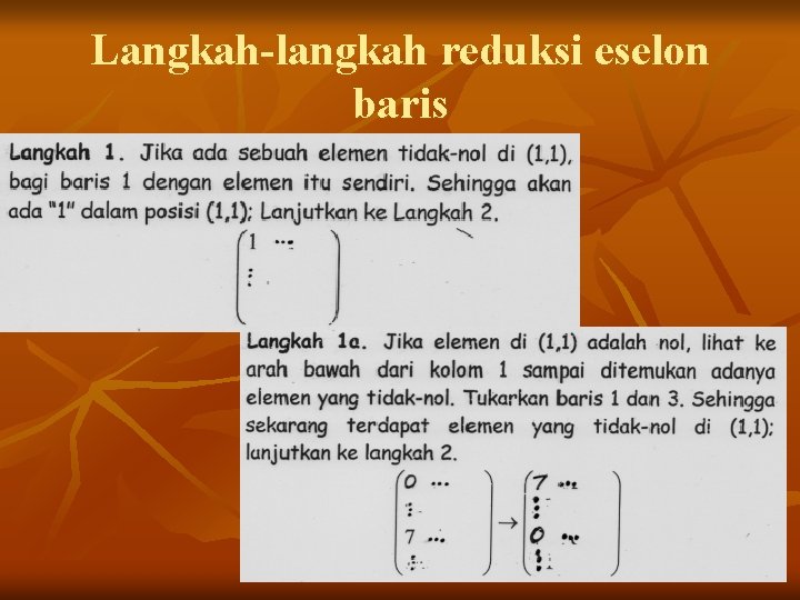 Langkah-langkah reduksi eselon baris 