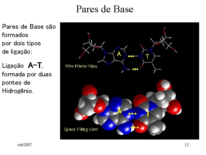 Pares de Base são formados por dois tipos de ligação: Ligação A-T, formada por Pares de Base são formados por dois tipos de ligação: Ligação A-T, formada por