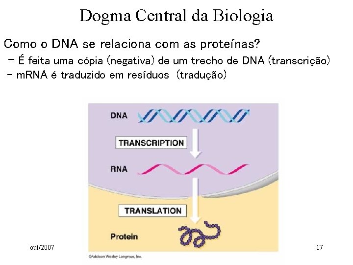 Dogma Central da Biologia Como o DNA se relaciona com as proteínas? - É Dogma Central da Biologia Como o DNA se relaciona com as proteínas? - É