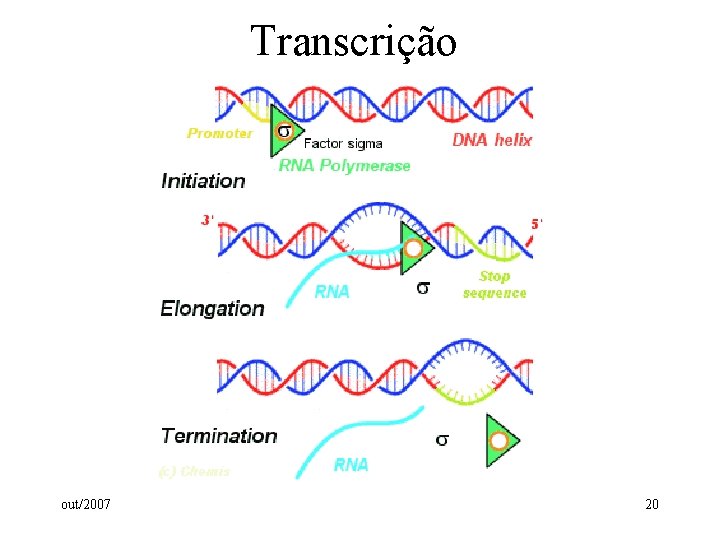 Transcrição out/2007 20 Transcrição out/2007 20