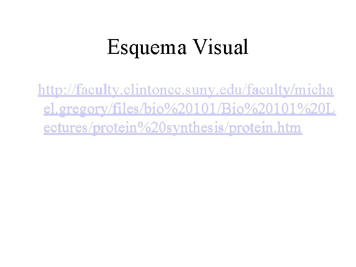 Esquema Visual http: //faculty. clintoncc. suny. edu/faculty/micha el. gregory/files/bio%20101/Bio%20101%20 L ectures/protein%20 synthesis/protein. htm Esquema Visual http: //faculty. clintoncc. suny. edu/faculty/micha el. gregory/files/bio%20101/Bio%20101%20 L ectures/protein%20 synthesis/protein. htm