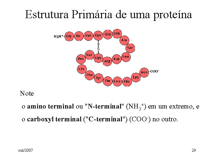 Estrutura Primária de uma proteína Note o amino terminal ou "N-terminal" (NH 3+) em Estrutura Primária de uma proteína Note o amino terminal ou "N-terminal" (NH 3+) em