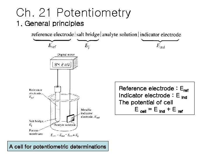 Ch 21 Potentiometry 1 General principles Reference electrode