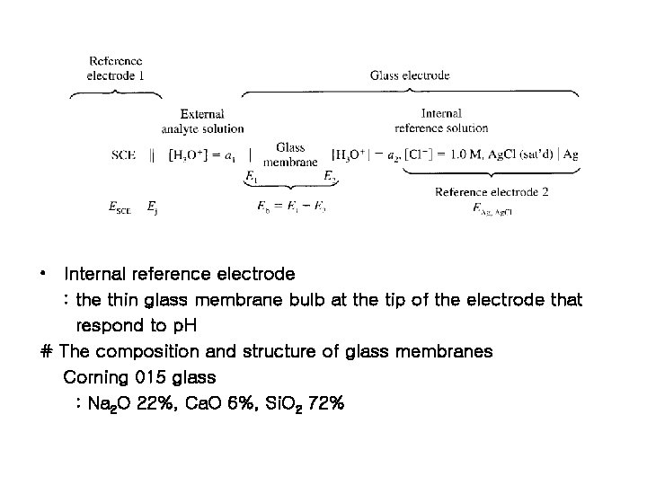  • Internal reference electrode : the thin glass membrane bulb at the tip