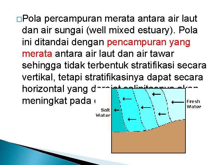 �Pola percampuran merata antara air laut dan air sungai (well mixed estuary). Pola ini