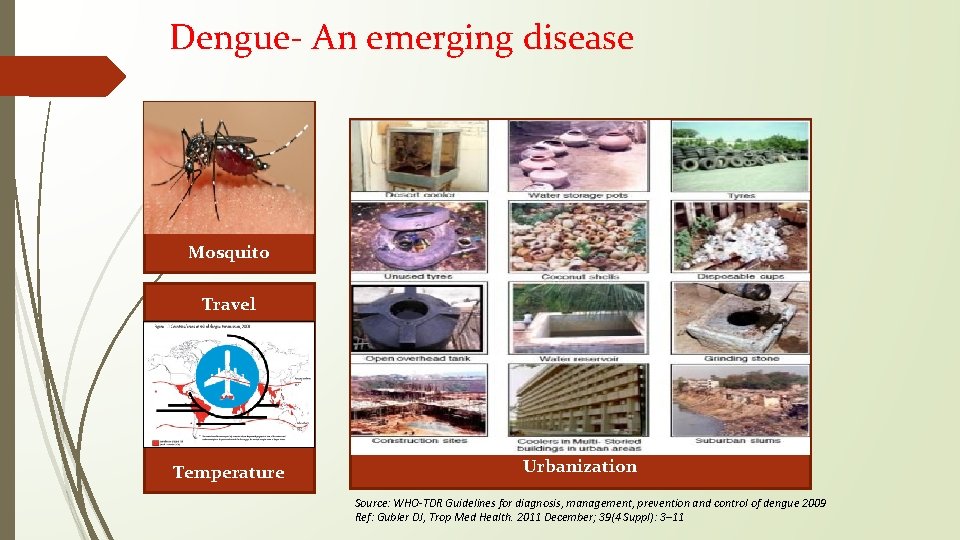 Dengue- An emerging disease Mosquito Travel Temperature Urbanization Source: WHO-TDR Guidelines for diagnosis, management,