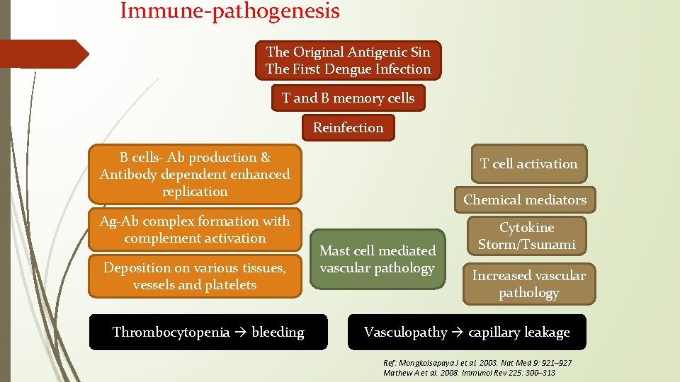 Immune-pathogenesis The Original Antigenic Sin The First Dengue Infection T and B memory cells