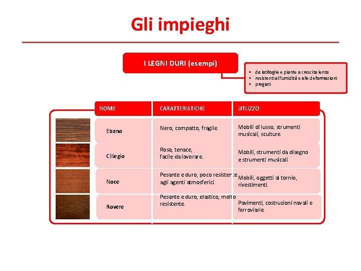 Gli impieghi I LEGNI DURI (esempi) • da latifoglie e piante a crescita lenta