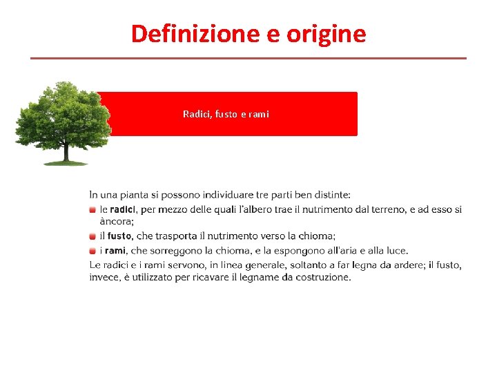 Definizione e origine Radici, fusto e rami Definizione e origine Radici, fusto e rami