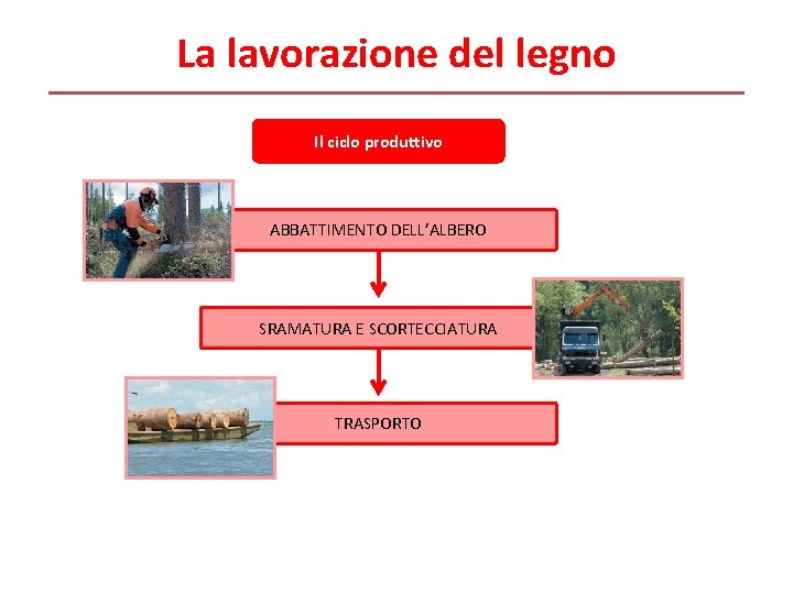 La lavorazione del legno Il ciclo produttivo ABBATTIMENTO DELL’ALBERO SRAMATURA E SCORTECCIATURA TRASPORTO 