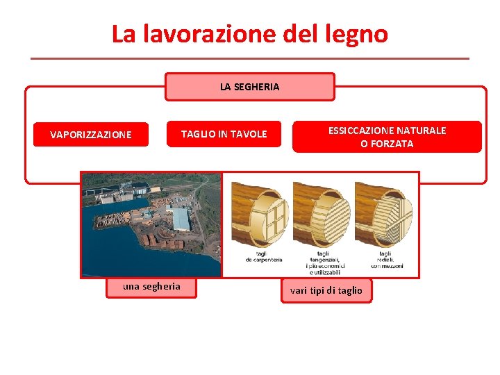La lavorazione del legno LA SEGHERIA VAPORIZZAZIONE una segheria TAGLIO IN TAVOLE ESSICCAZIONE NATURALE