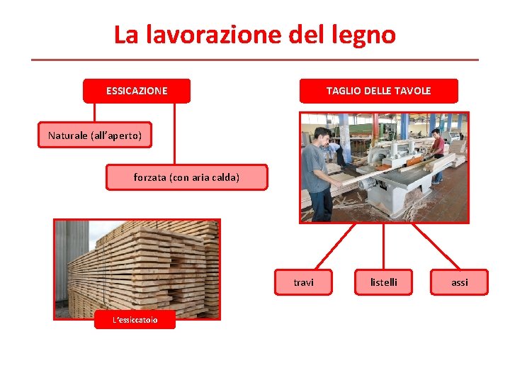 La lavorazione del legno ESSICAZIONE TAGLIO DELLE TAVOLE Naturale (all’aperto) forzata (con aria calda) La lavorazione del legno ESSICAZIONE TAGLIO DELLE TAVOLE Naturale (all’aperto) forzata (con aria calda)