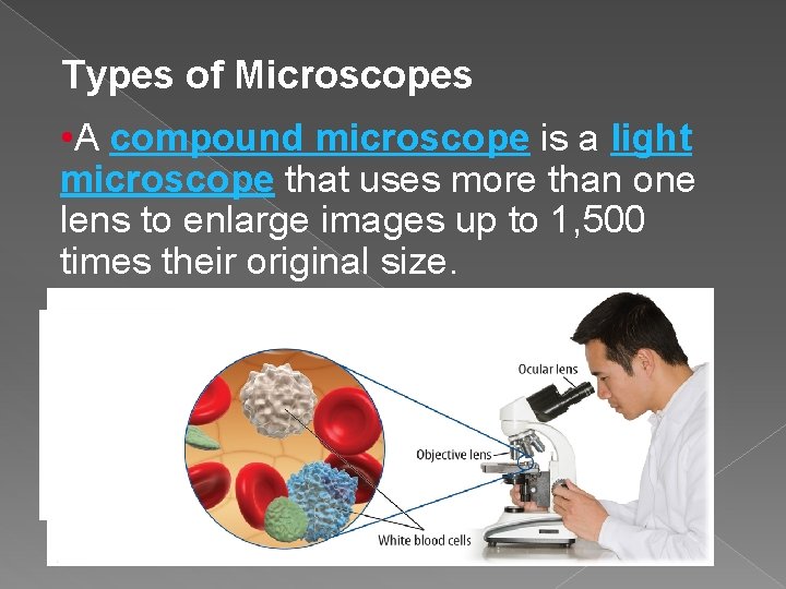 Types of Microscopes • A compound microscope is a light microscope that uses more Types of Microscopes • A compound microscope is a light microscope that uses more