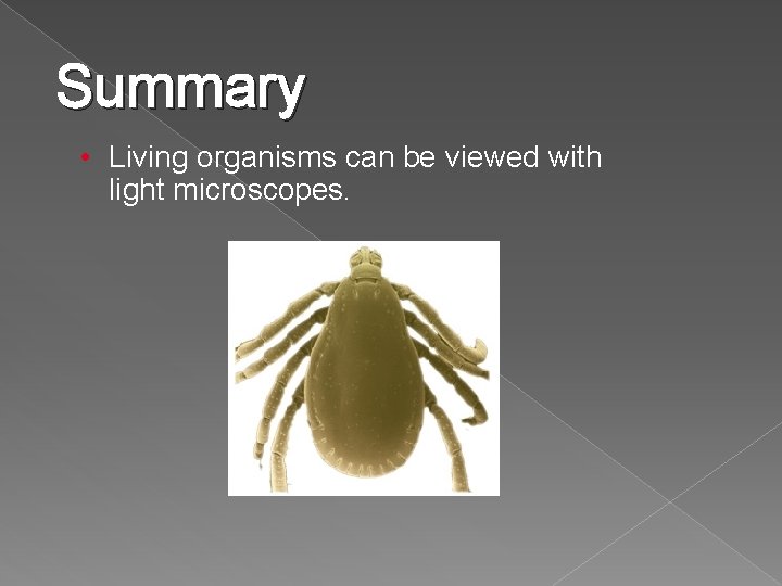 Summary • Living organisms can be viewed with light microscopes. Summary • Living organisms can be viewed with light microscopes.