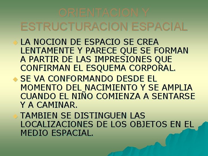 ORIENTACION Y ESTRUCTURACION ESPACIAL LA NOCION DE ESPACIO SE CREA LENTAMENTE Y PARECE QUE ORIENTACION Y ESTRUCTURACION ESPACIAL LA NOCION DE ESPACIO SE CREA LENTAMENTE Y PARECE QUE