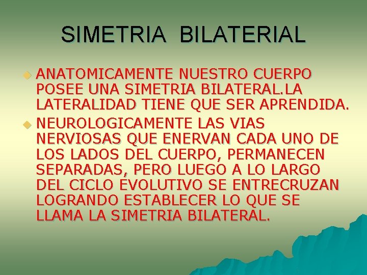 SIMETRIA BILATERIAL ANATOMICAMENTE NUESTRO CUERPO POSEE UNA SIMETRIA BILATERAL. LA LATERALIDAD TIENE QUE SER SIMETRIA BILATERIAL ANATOMICAMENTE NUESTRO CUERPO POSEE UNA SIMETRIA BILATERAL. LA LATERALIDAD TIENE QUE SER