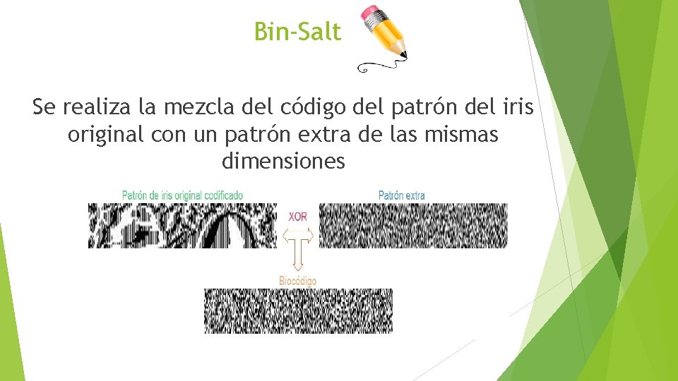 Bin-Salt Se realiza la mezcla del código del patrón del iris original con un