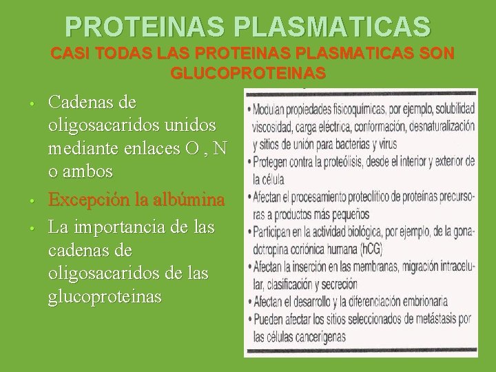 PROTEINAS PLASMATICAS CASI TODAS LAS PROTEINAS PLASMATICAS SON GLUCOPROTEINAS • • • Cadenas de