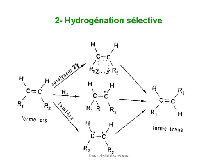 2 - Hydrogénation sélective Chap 4 -Huile et corps gras 30 