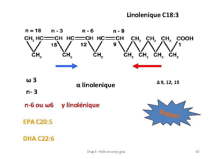 Linolenique C 18: 3 ω 3 n- 3 α linolenique n-6 ou ω6 γ